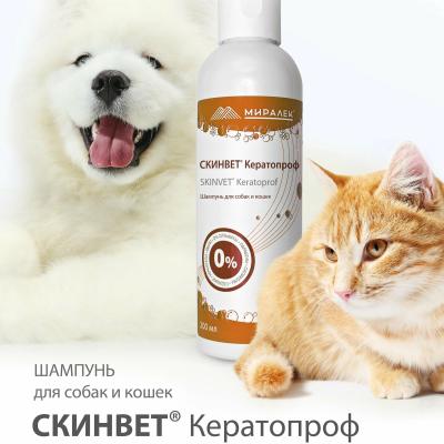 Безымянный