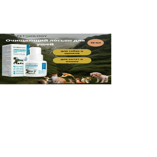 Безымянный