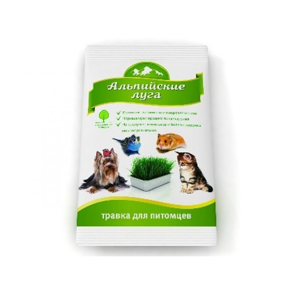 a6aee0bcc6700a95f651145ae4a4060e-1000x1000