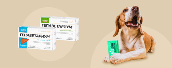 52f26831c99e7b32d823c5300f8006d6