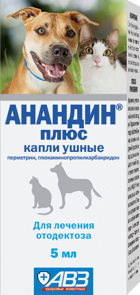 6063767626