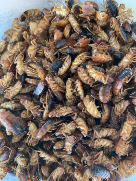 5d5fb75caaab2893b772d3b3