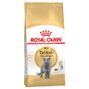 britishshorthairadult_0
