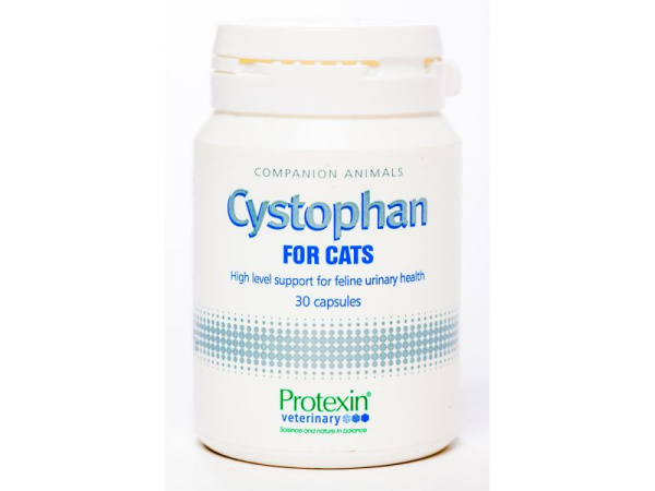 1590403971_0c32d89f2b1c