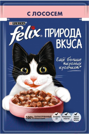 80333264_korm-dlya-koshek-felix-nature-of-taste-s-lososem-85g