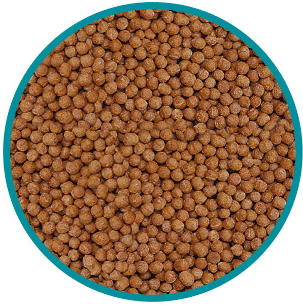 96df28556854d320939c89459871ff27